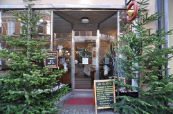 Julskyltningen